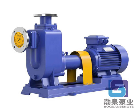 ZW400-2200-10-自吸式無堵塞排污泵